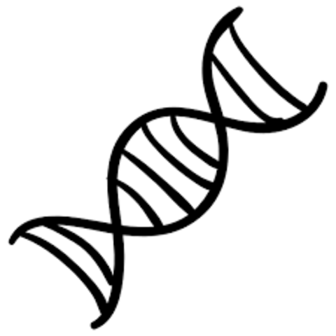 Watson and Crick propose the double helix model of DNA structure
