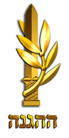 ארגון ההגנה