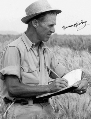 norman borlaug