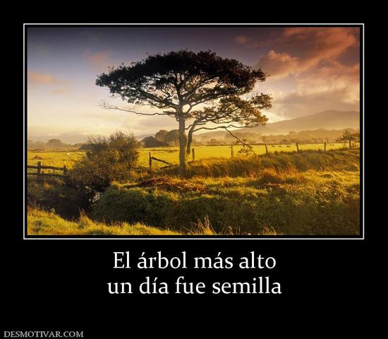 ?cómo me condiciona el entorno y el medio en el que vivo y cómo yo los afecto?