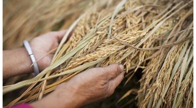 Declive de la producción de crudo convencional