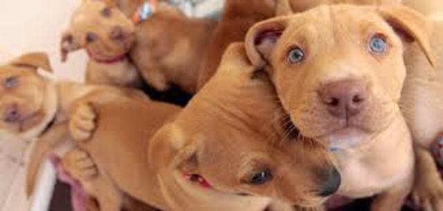 "In the Name of Mercy"