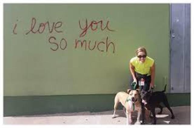 STOP (Solutions To Overpopulation Problems)