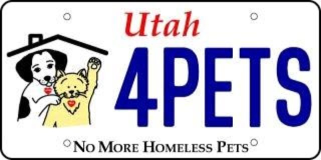 No More Homeless Pets