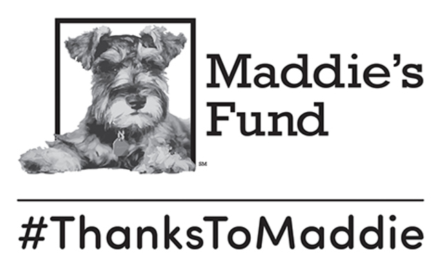 Maddie's fund