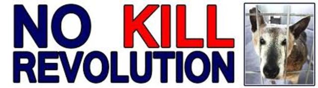 Another No-Kill city