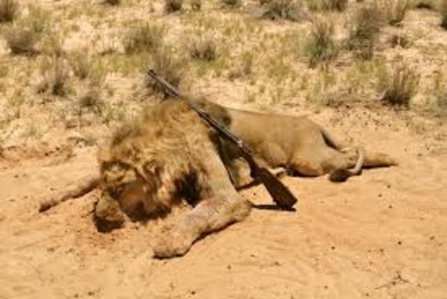 California under Suspicion