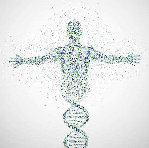 The Human Genome Project