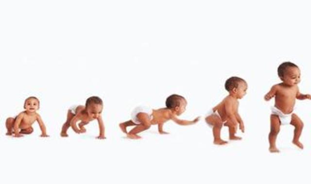 Etapa de la primera  Infancia