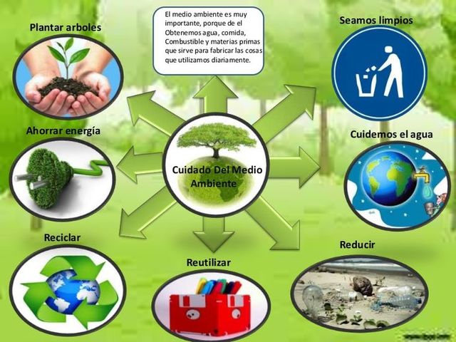 Conciencia ambiental