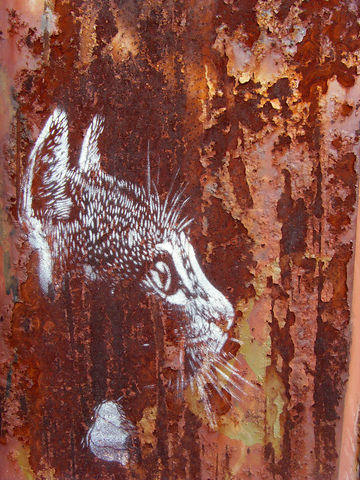 C215