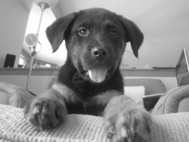 It's official, we have a petting zoo.