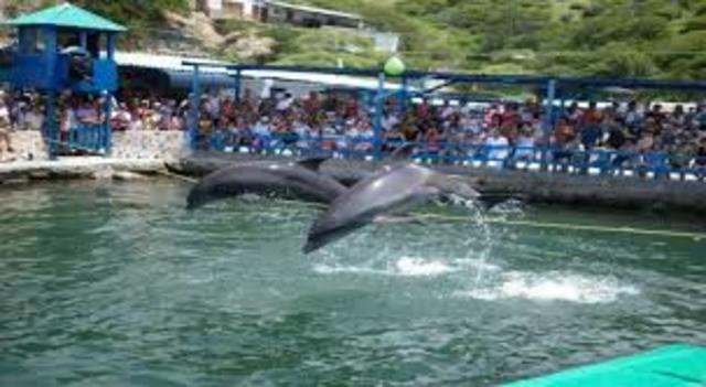 Acuario y museo del mar del Rodadero