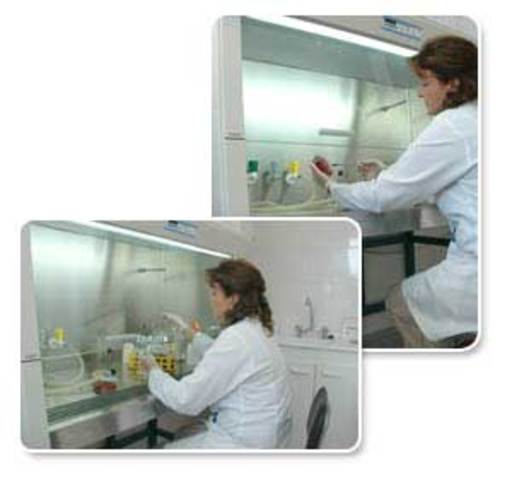 Finalización del análisis