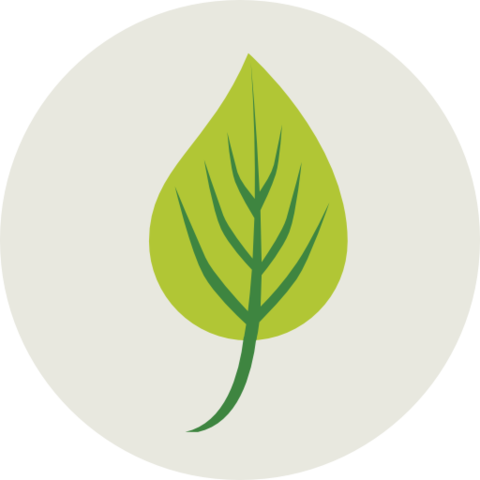 Constituição de 67