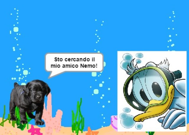 IC Polo 2 Nardò (Lecce)