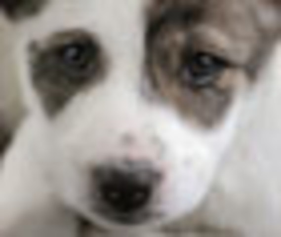 Working for Change in Tennessee