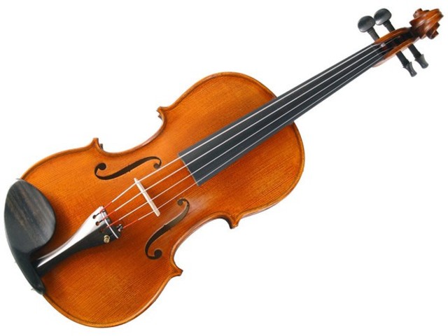 viola