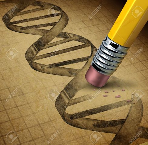 Primeros estudios de manipulación genetica