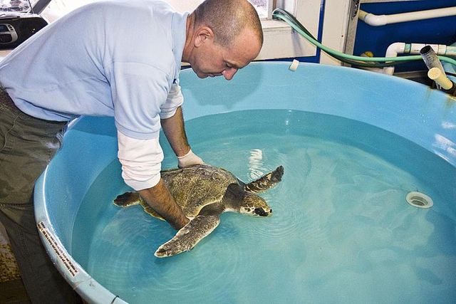 How will you change the world?