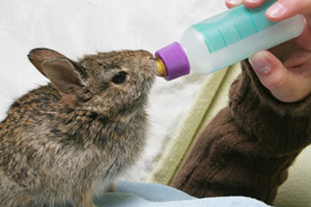 How will you change the world?