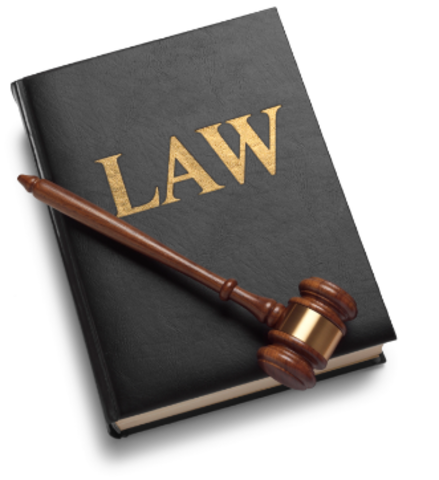 Speaking to Congress