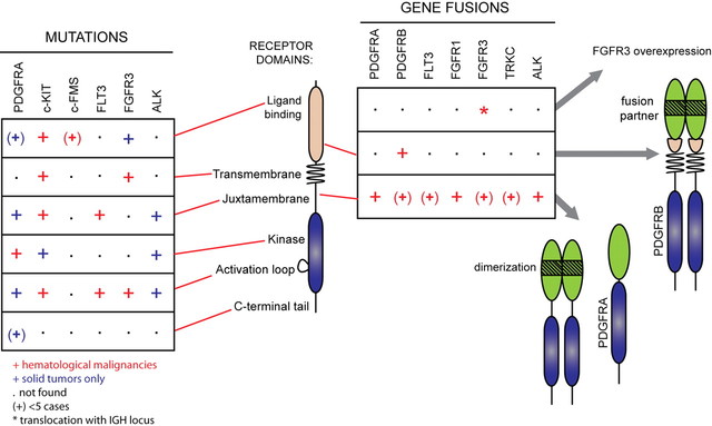 When Genetic Alterations Linked to FMS