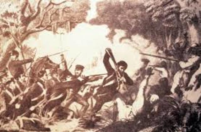 Battle of Okeechobee