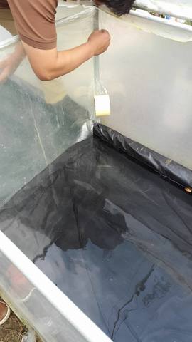 ADECUACIÓN DE LA CÁMARA HÚMEDA PARA EL EXPERIMENTO.