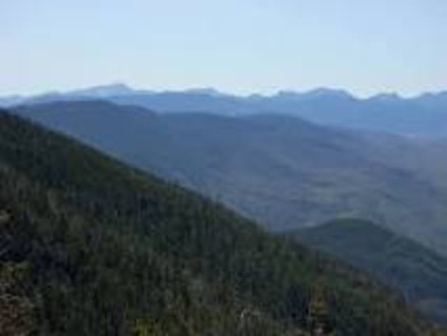 The Conservancy protects