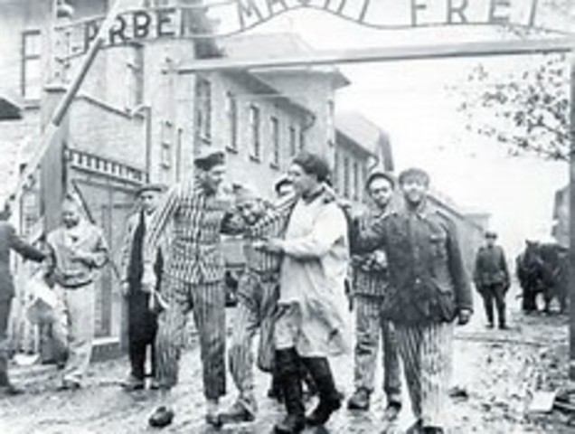 Auschwitz Liberated