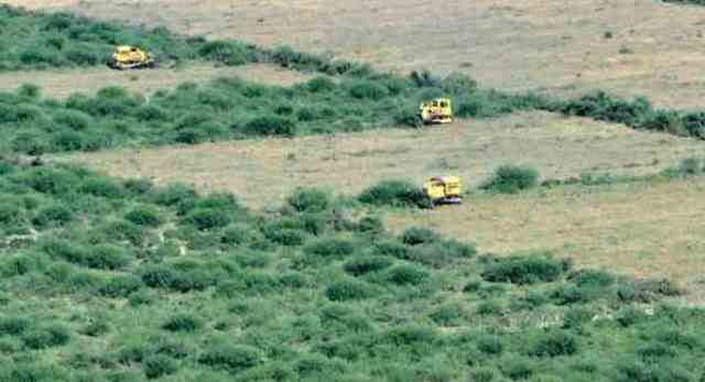 conversión de bosques y pasturas