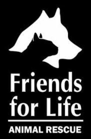 Changed name to friends for life from friends for life animal sanctuary