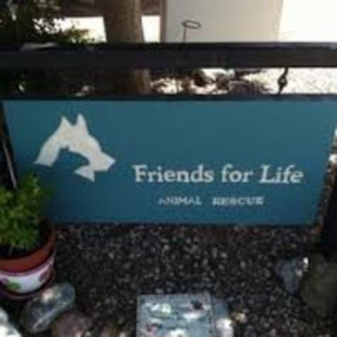 Purchased 3 buildings for animals home