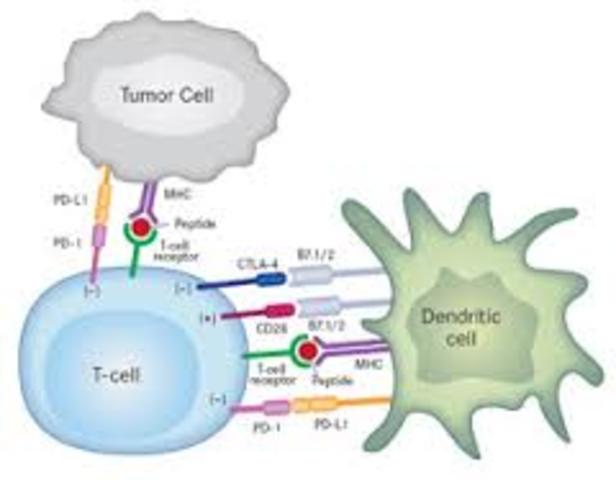 CLONING OF CTLA-4