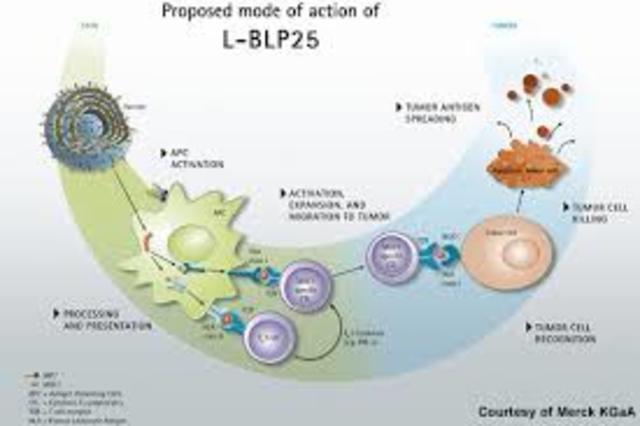 THERAPEUTIC VACCINE CURES PRECANCEROUS GYNECOLOGICAL DISEASE