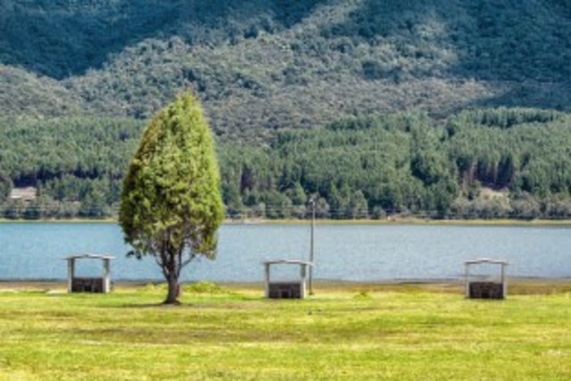 Organizamos el picnic