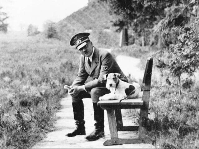 Dealing with Presidents