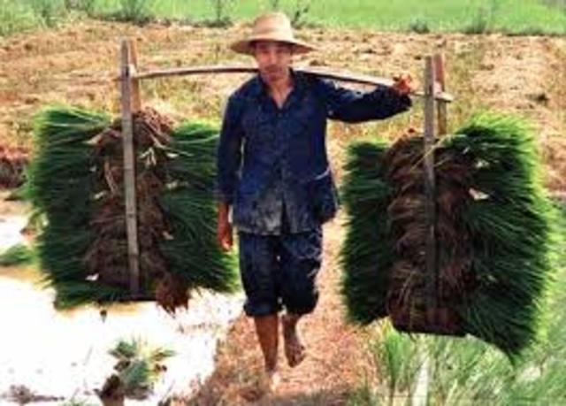 China Organizes Peasant Force