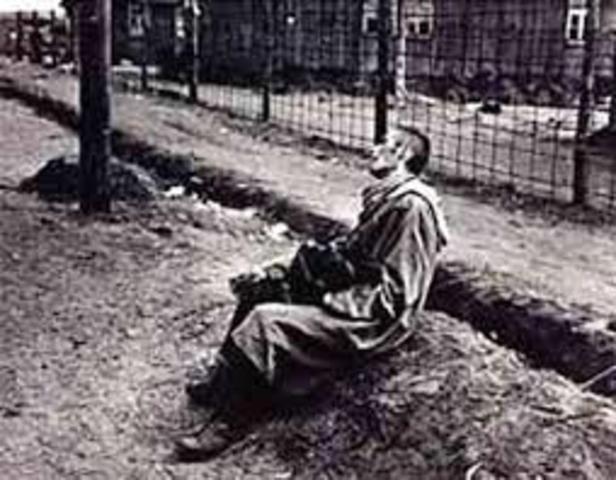 Housing for Sick and Injured