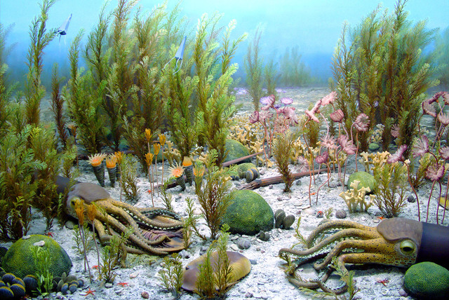 ОРДОВИКСКИЙ ПЕРИОД