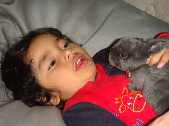 MI PRIMERA MASCOTA MI CONEJO PIPE