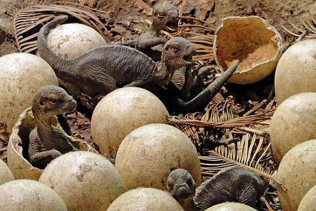  naceron os dinosauros.