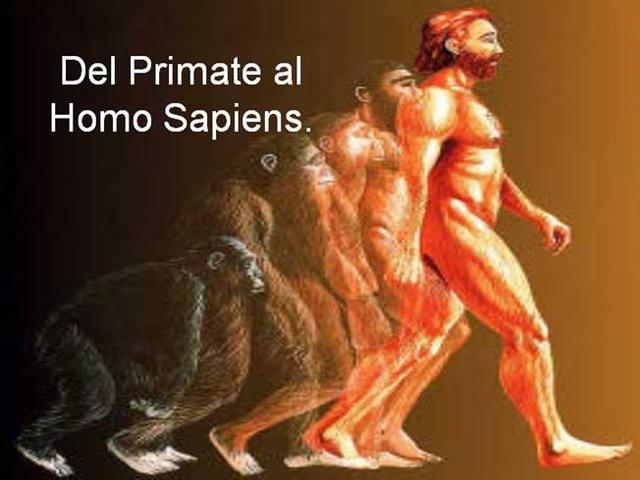 23:59,46 H apareceu o Homo sapiens.