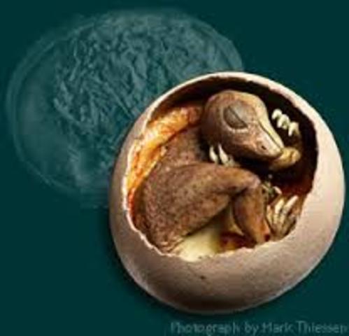 nacemento dos dinosauros