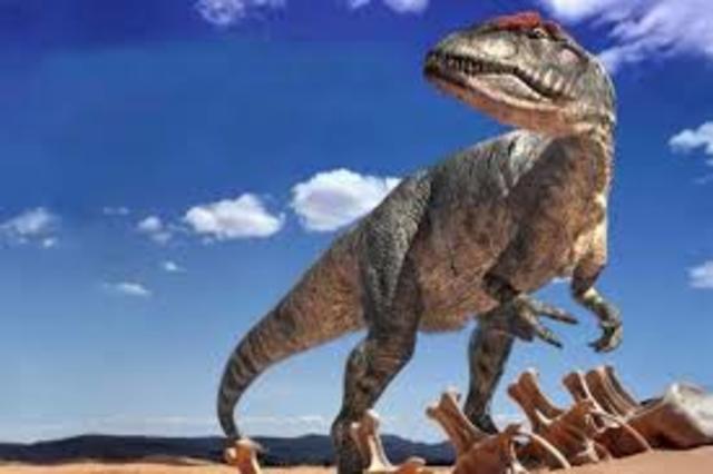 desaparicion dos dinosauros