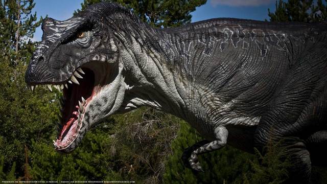 Naceron os primeiros dinosaurios