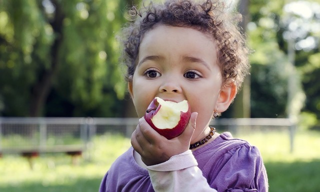 Hunger in America 2014