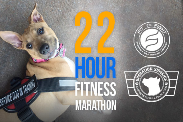 Fit to Fight 22 hour fitness challenge