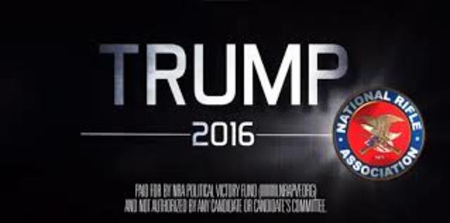 NRA assembles a team